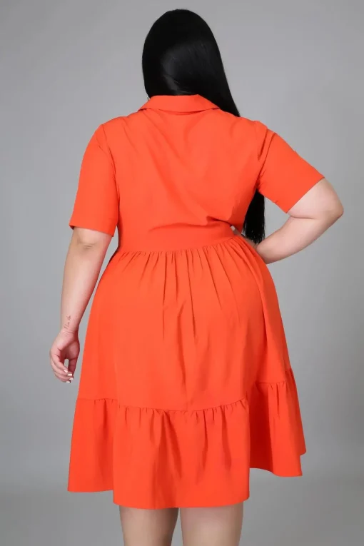 Elegant Ruched Blouse Dress - Plus Size  Fashion