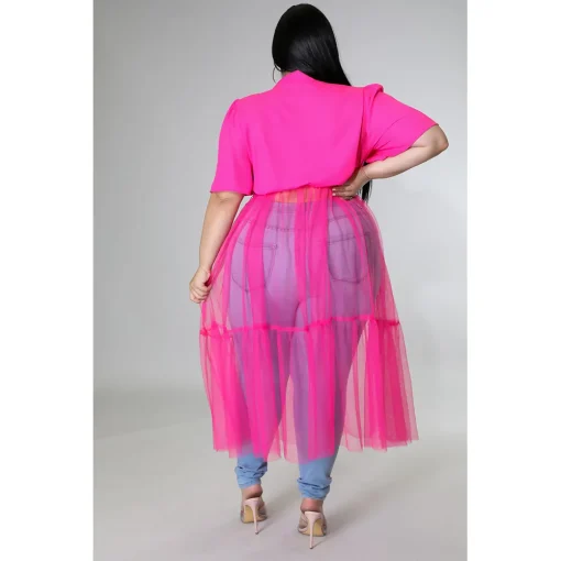 Plus Size Mesh Patchwork Dress - Image 2