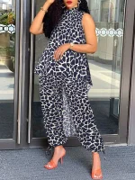 Women’s Stand Collar Asymmetric Leopard Pants Set