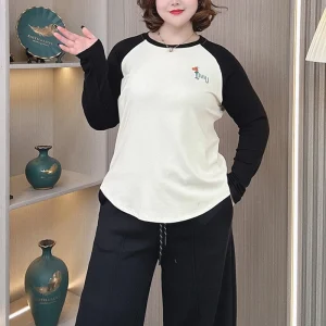 Plus Size Women's Brushed Color Block Pullover Round Neck Top