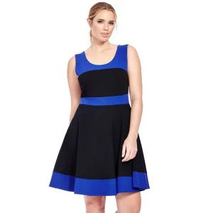 Plus Size Sleeveless Elegant Color Block A-Line Dress