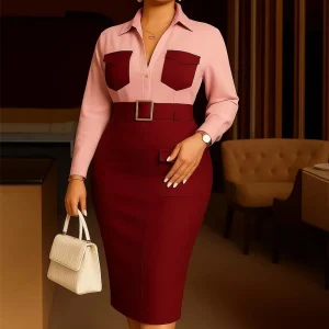 Elegant Long Sleeve Color Block Dress with Turn-Down Collar – Office & Church