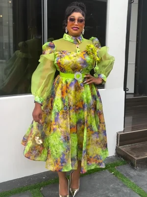 Elegant Organza Long Sleeve Chiffon Maxi Dress – African Dashiki Kaftan